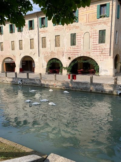 Treviso