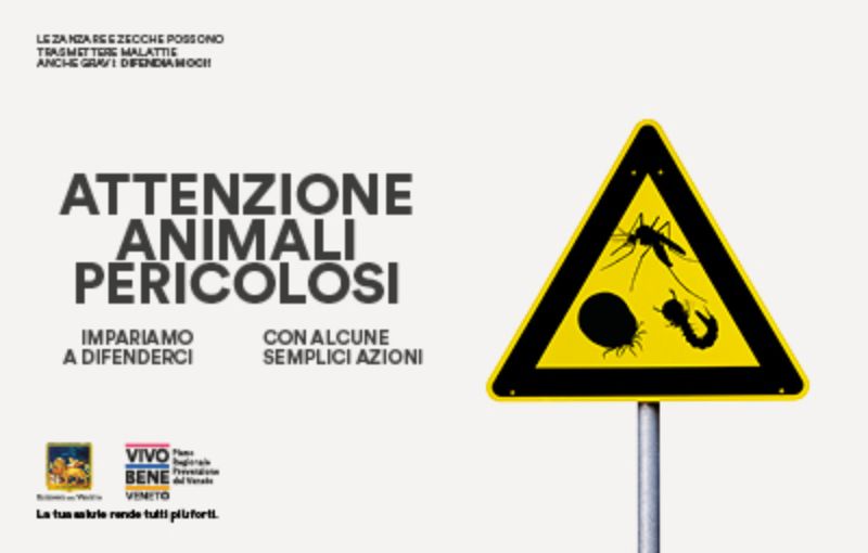 01_CCA_BANNER__GENERICO
