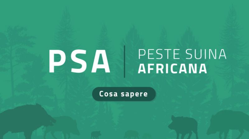 Peste_Suina