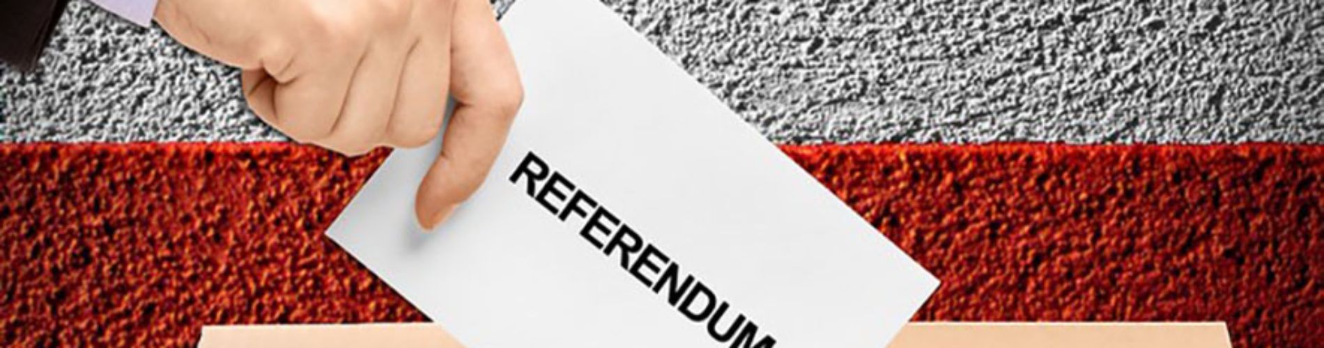 referendum