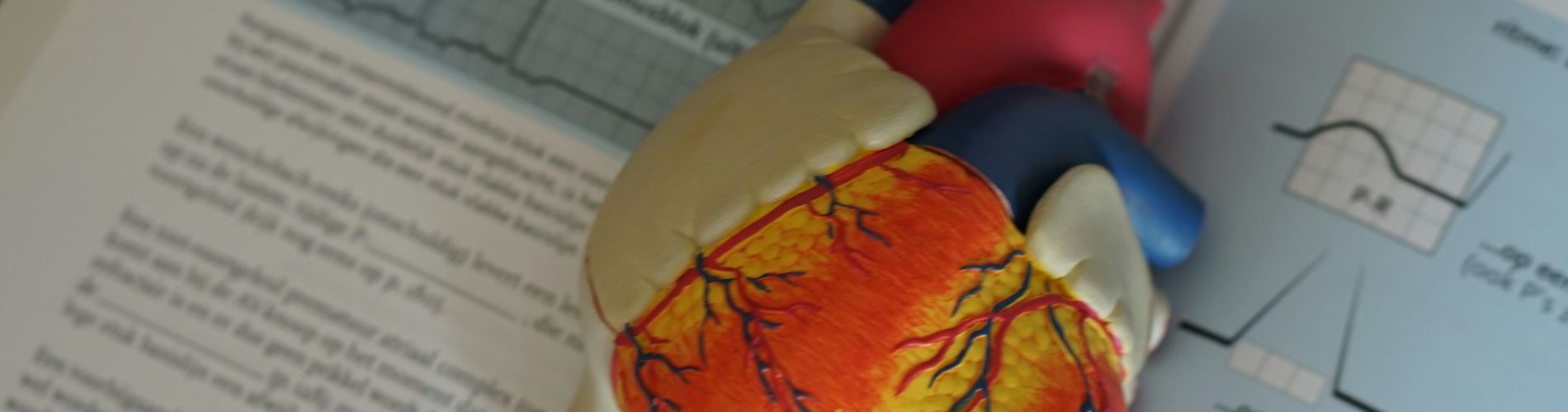 robina-weermeijer-z8_-Fmfz06c-unsplash