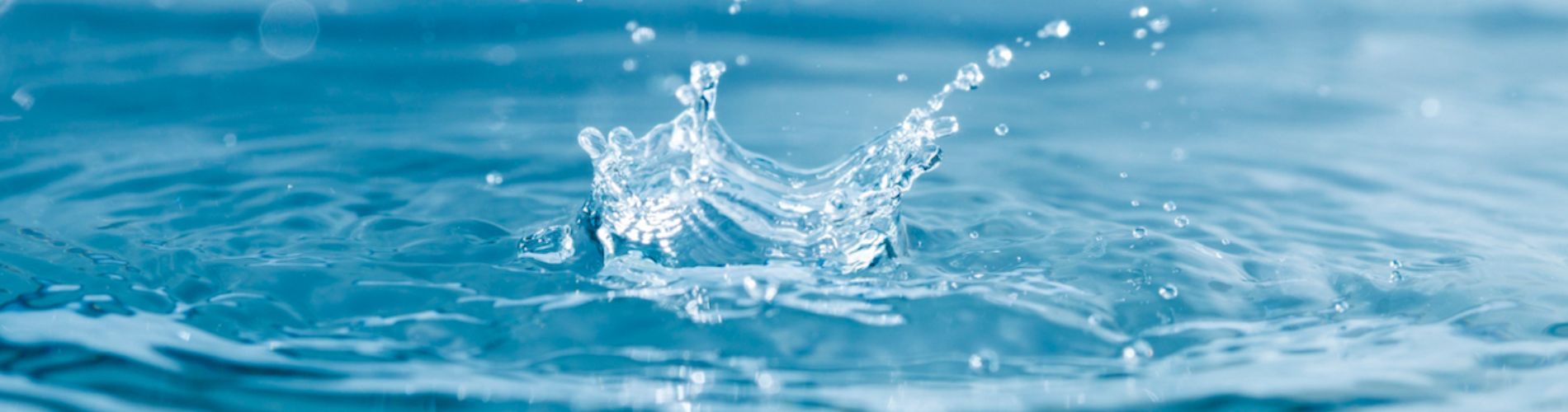 Piave Servizi SpA
