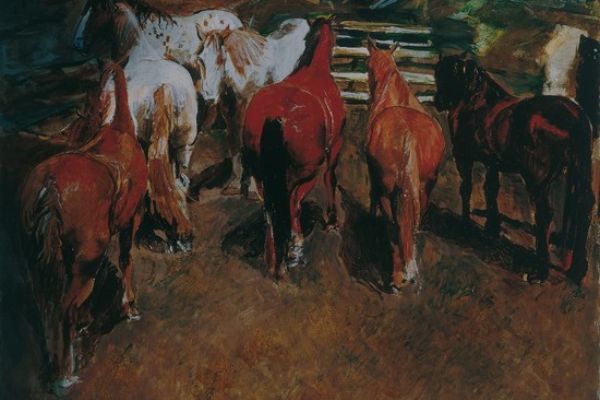 Cavalli 120x120 - olio su tela, 1974