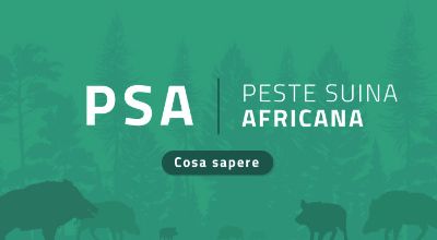Peste_Suina