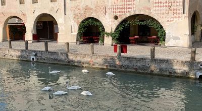 Treviso